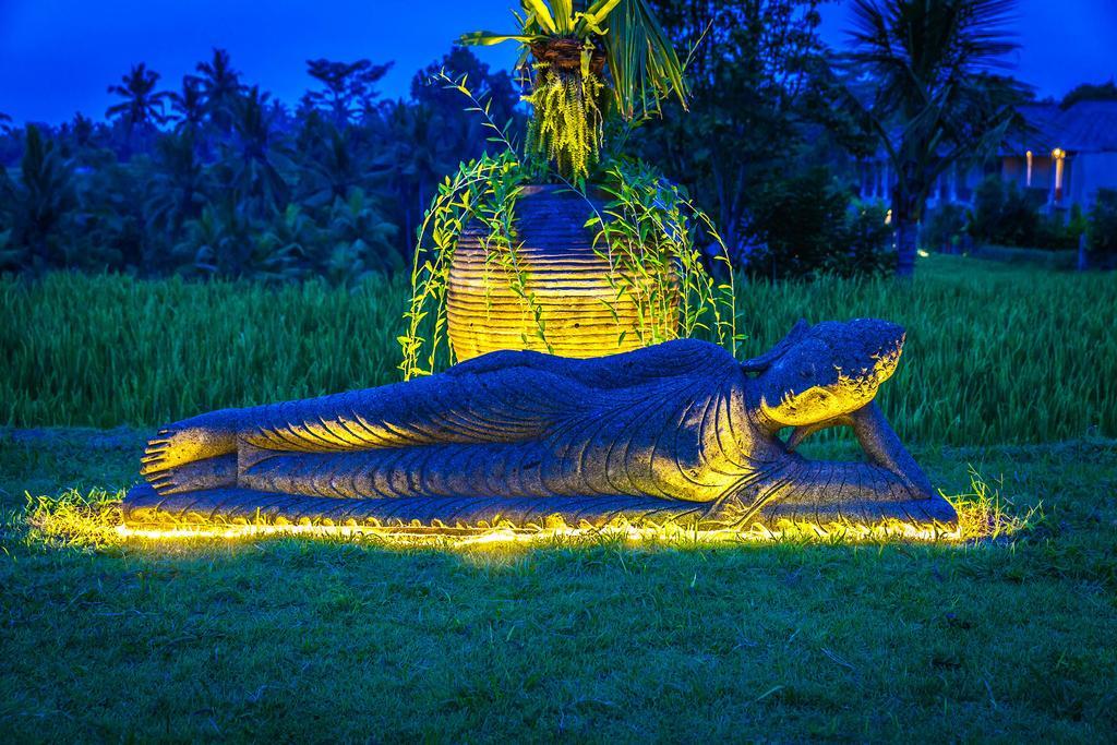 B Saya Villas Ubud  Luaran gambar