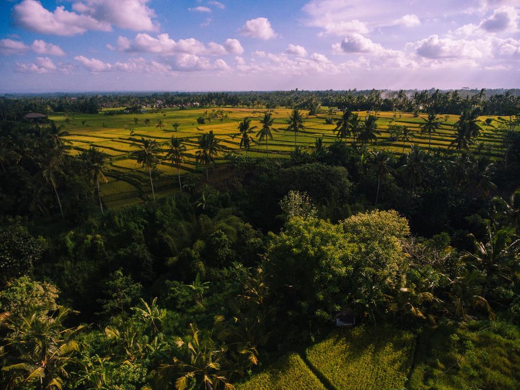 B Saya Villas Ubud  Luaran gambar