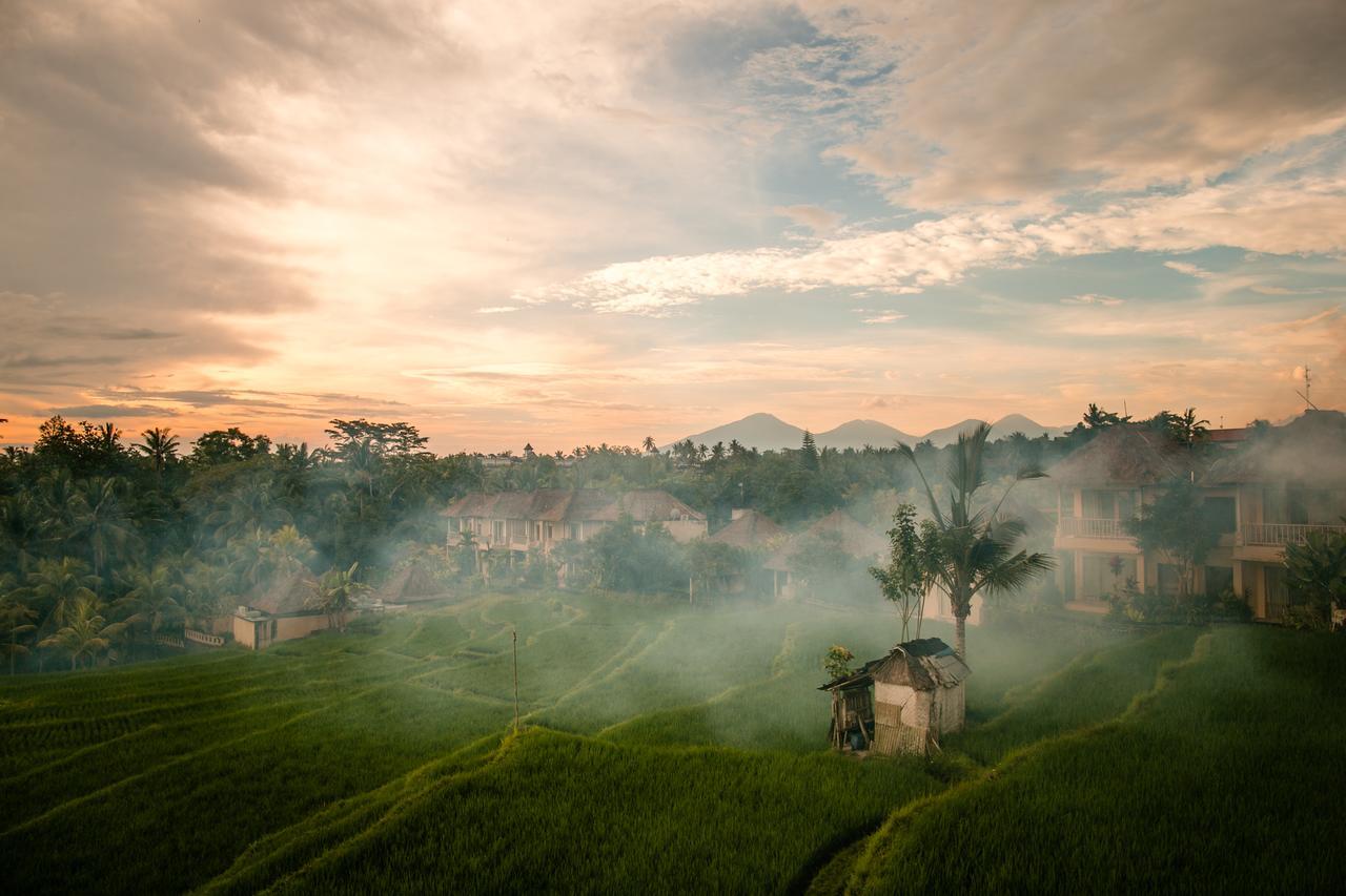 B Saya Villas Ubud  Luaran gambar